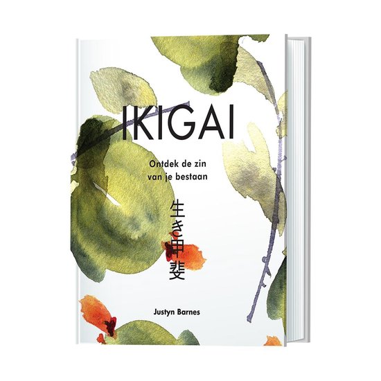 boek Ikigai