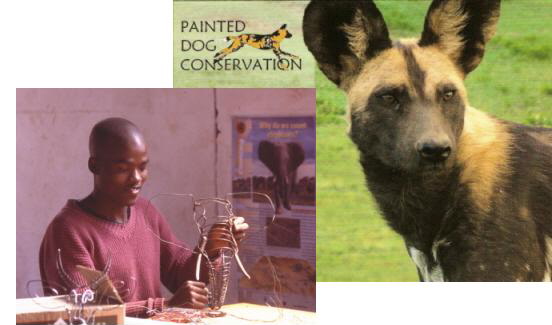 Painted Dog Conservation
