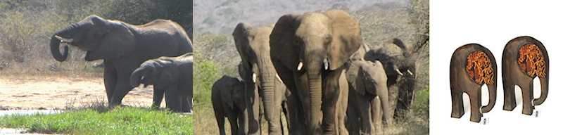 cadeau goede samenwerking olifanten
